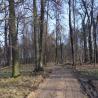 images/Planowane_inwestycje/Palac_Baranowice/grudzien_2022/DSC09343.jpg