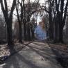 images/Planowane_inwestycje/Palac_Baranowice/grudzien_2022/DSC09362.jpg