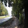 images/Slidery_inwestycje_w_realizacji/Droga_Rowerowa_Zory/droga_rowerowa_budowa_wrzesien_zory.jpg